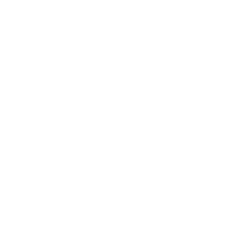 favicon white